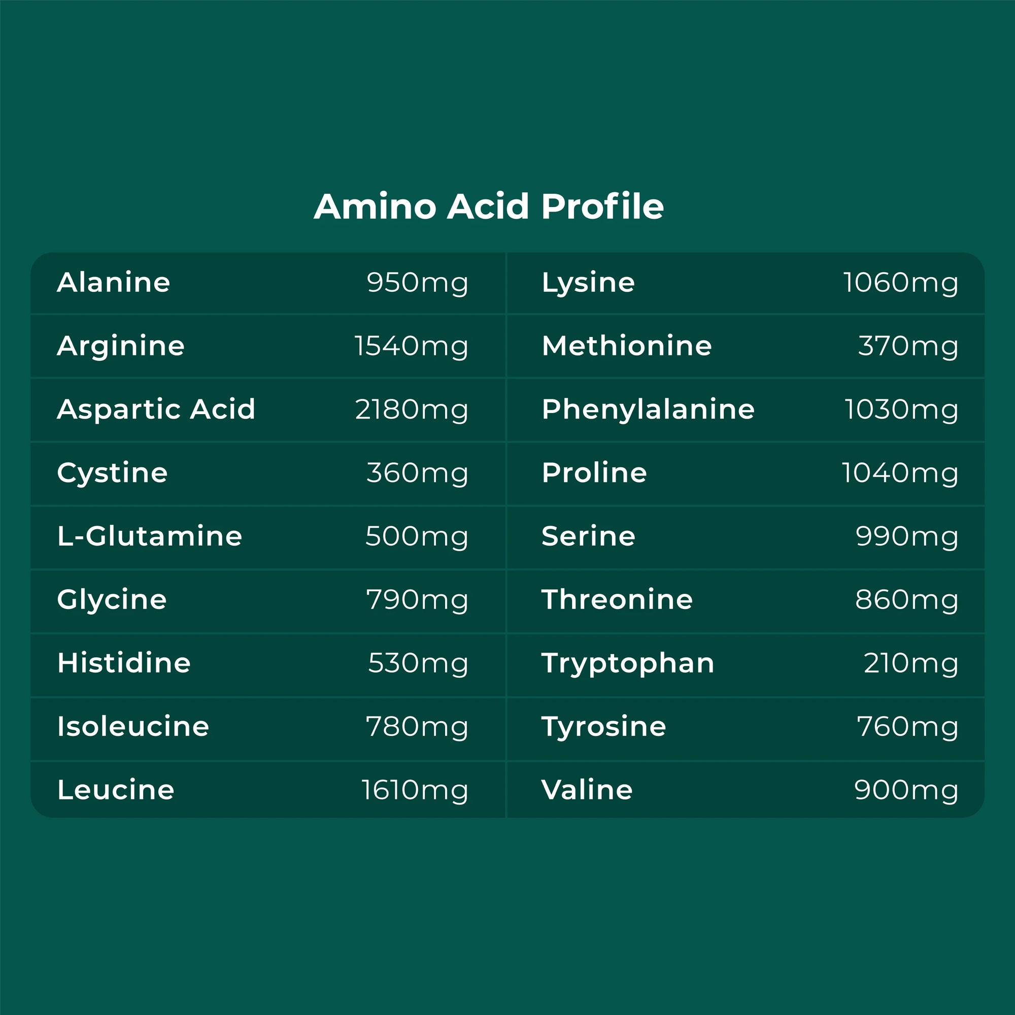 Plant Protein